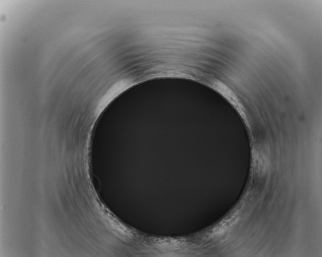 X0000088061002200705182136