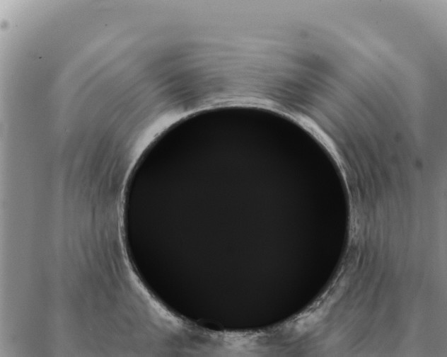 X0000088061005200705182136