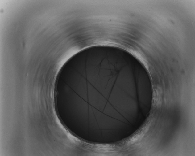 X0000088061007200705182136