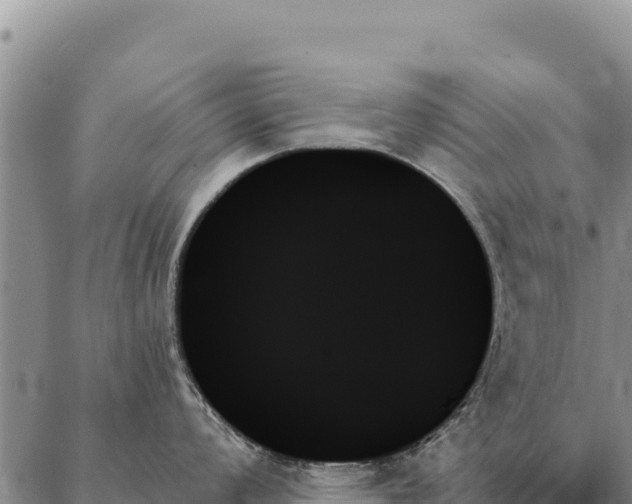 X0000088061008200705182136