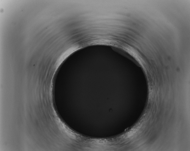 X0000088061050200705182136