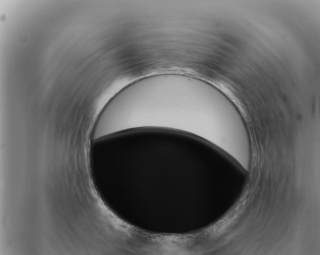 X0000088061054200705182136