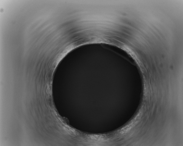 X0000088061097200705182134