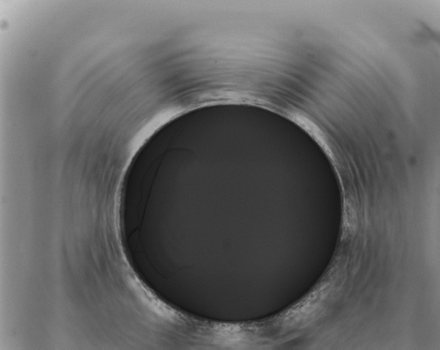 X0000088061098200705182134