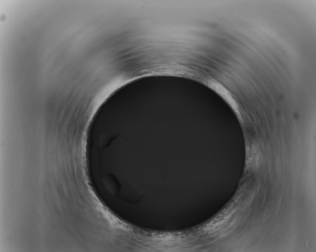 X0000088061099200705182134