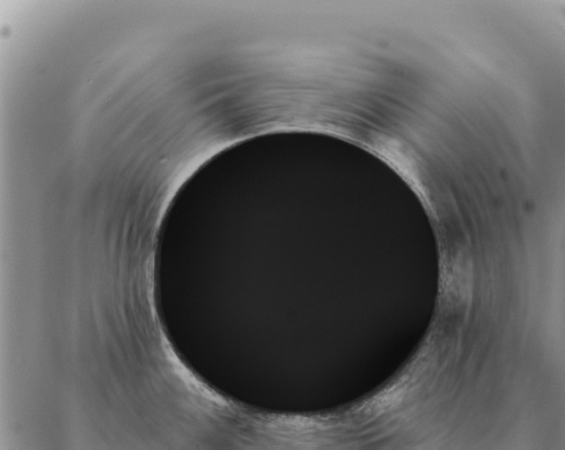 X0000088061100200705182134