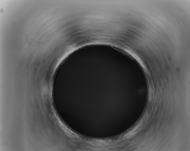 X0000088061101200705182134