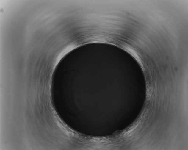 X0000088061146200705182134