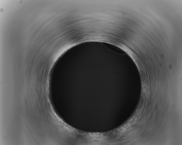 X0000088061147200705182134
