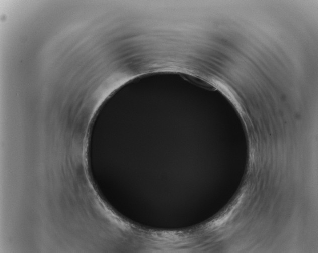 X0000088061149200705182134