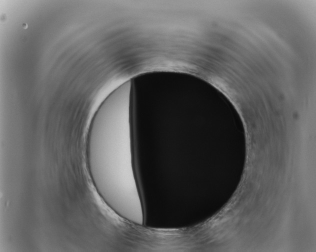 X0000088061152200705182134