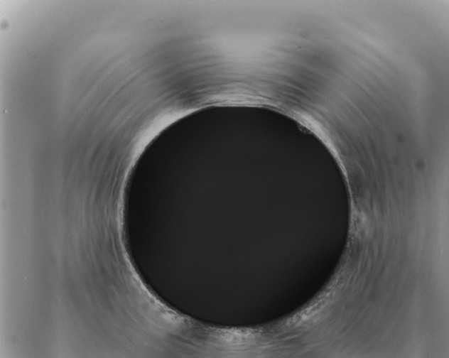 X0000088061195200705182133