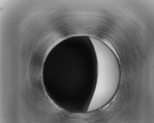 X0000088061197200705182133