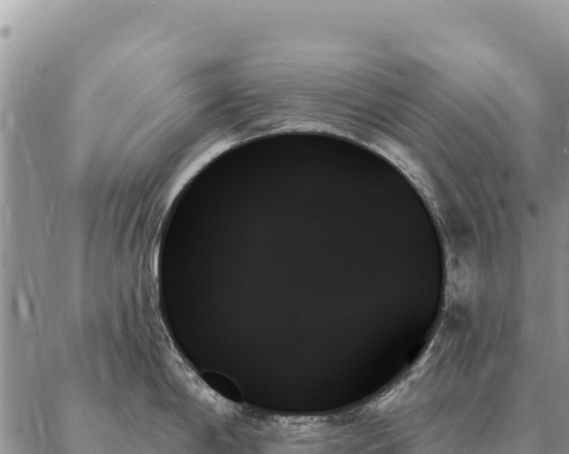 X0000088061198200705182133