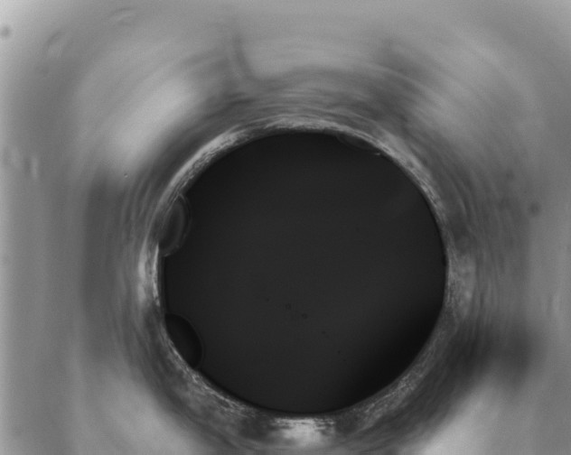 X0000088061199200705182133