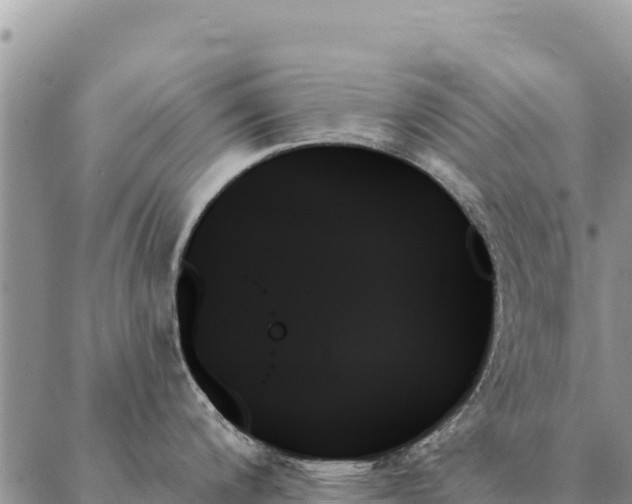 X0000088061200200705182133