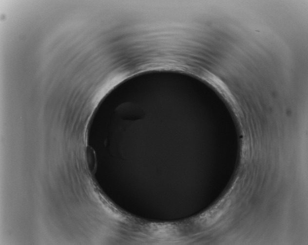X0000088061242200705182133