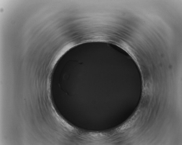 X0000088061243200705182133