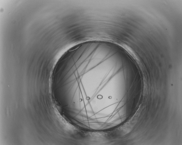 X0000088061246200705182133
