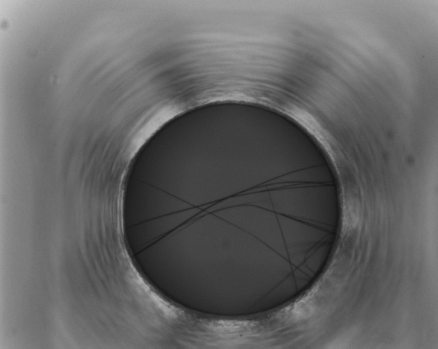 X0000088061290200705182131