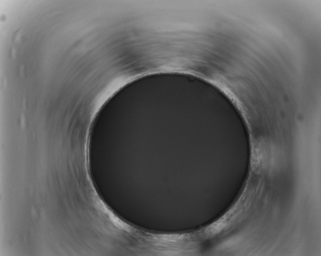 X0000088061294200705182131
