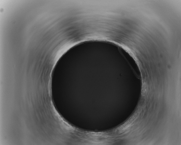 X0000088061295200705182131