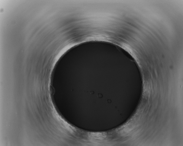 X0000088061339200705182131