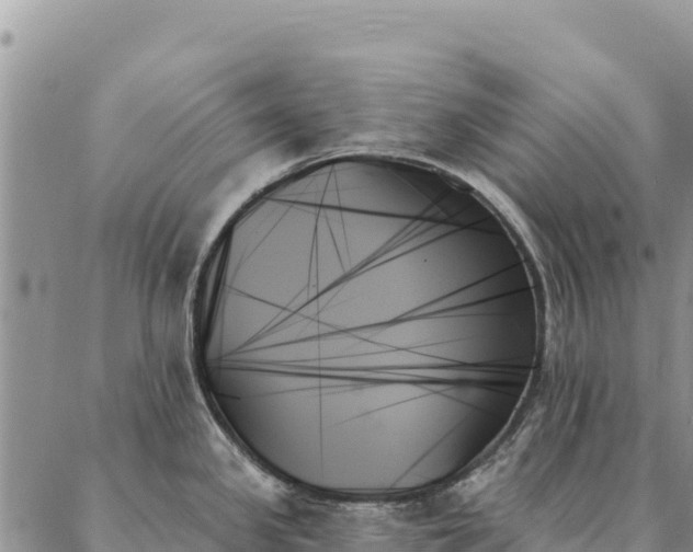 X0000088061341200705182131