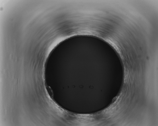 X0000088061342200705182131