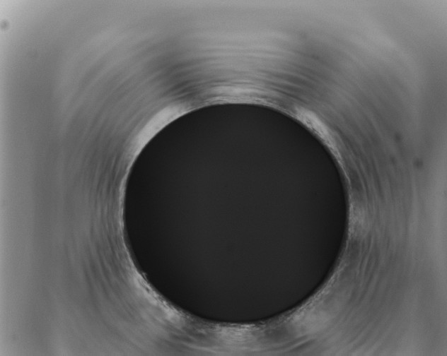 X0000088061386200705182130