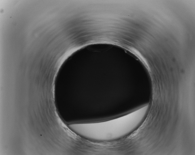 X0000088061388200705182130