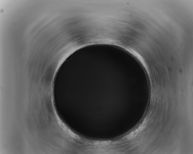 X0000088061389200705182130