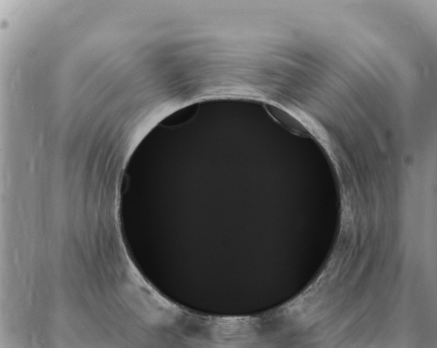 X0000088061390200705182130