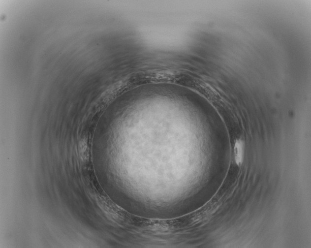 X0000088061395200705182129