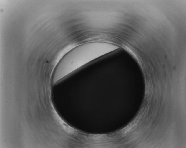 X0000088061434200705182129