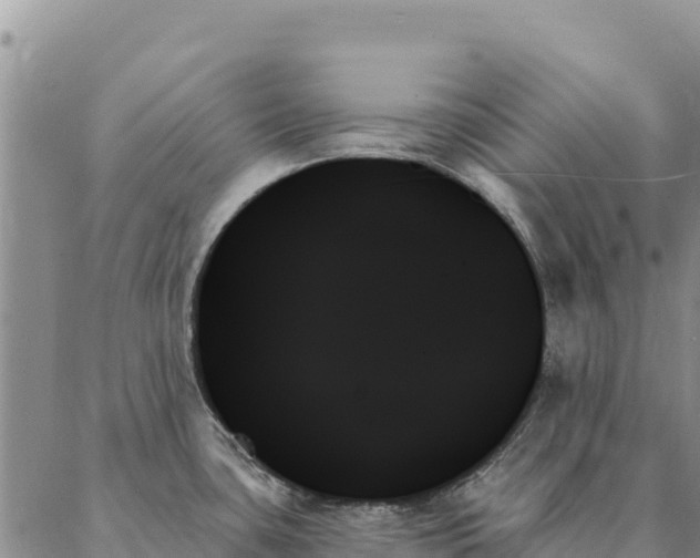 X0000088061435200705182129