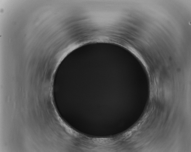 X0000088061437200705182129