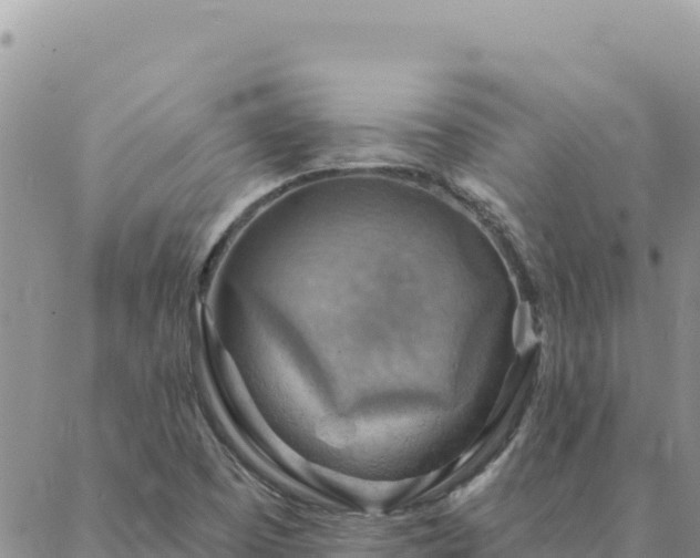 X0000088061457200705182128