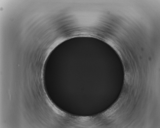 X0000088061482200705182128