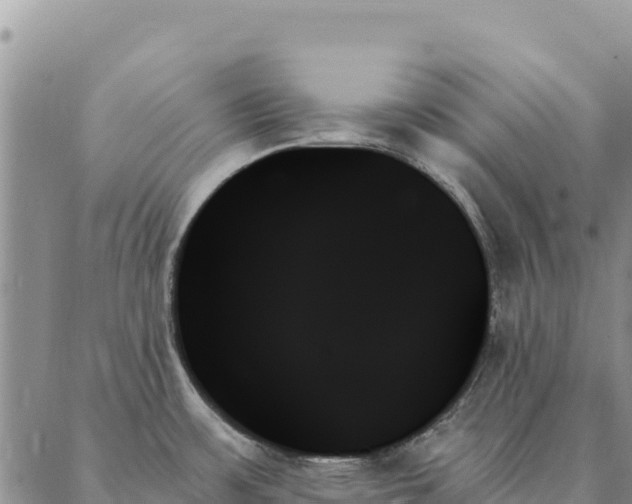 X0000088061483200705182128