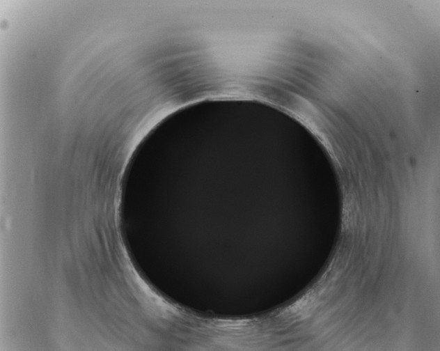 X0000088061484200705182128