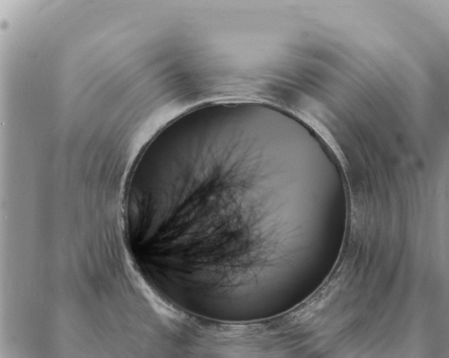 X0000088061485200705182128