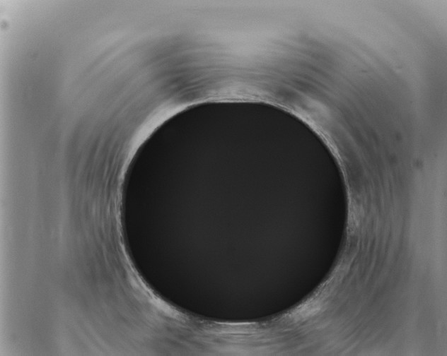 X0000088061486200705182128