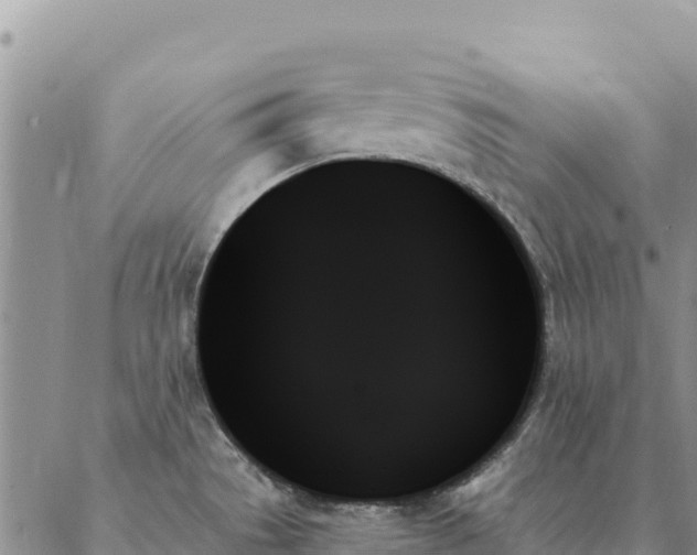 X0000088061529200705182128
