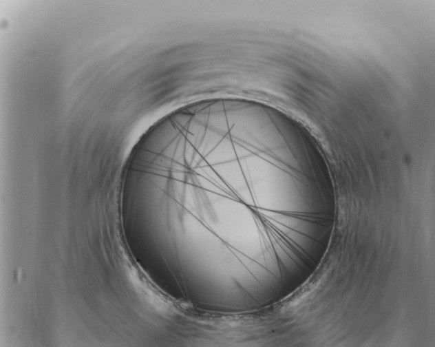 X0000088061530200705182128