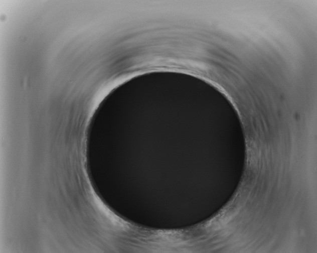 X0000088061531200705182128