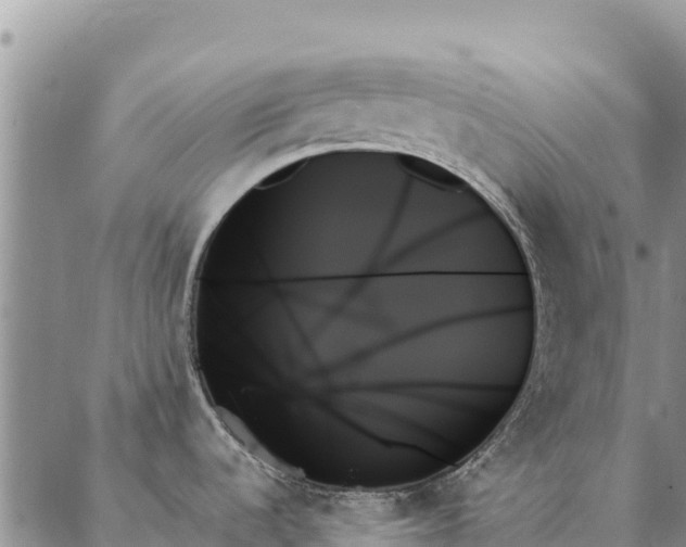 X0000088061536200705182128