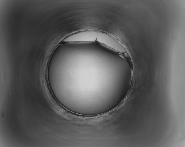X0000088060001200705251352