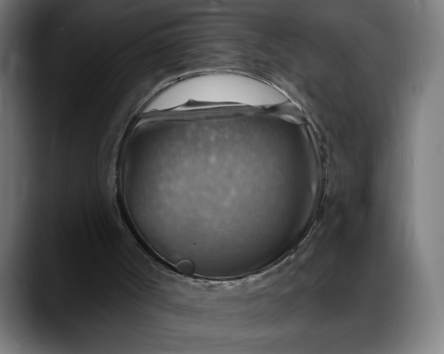 X0000088060002200705251352