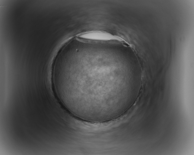 X0000088060006200705251352